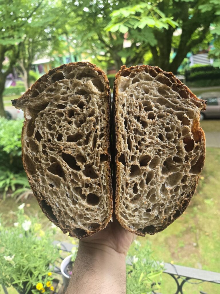 Blown away by the results of this method - 60% whole wheat with the bran sifted and scalded then added back in