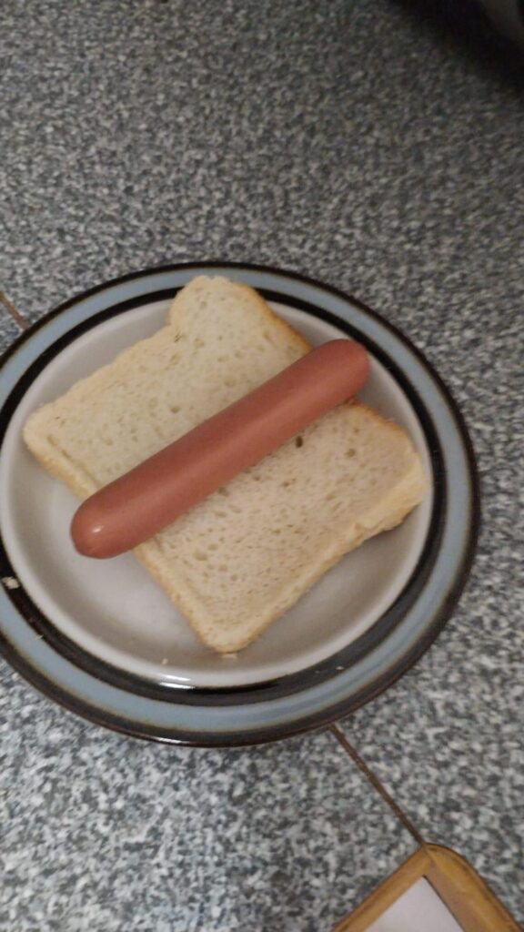 Friend sent me a picture of his ”dinner”.