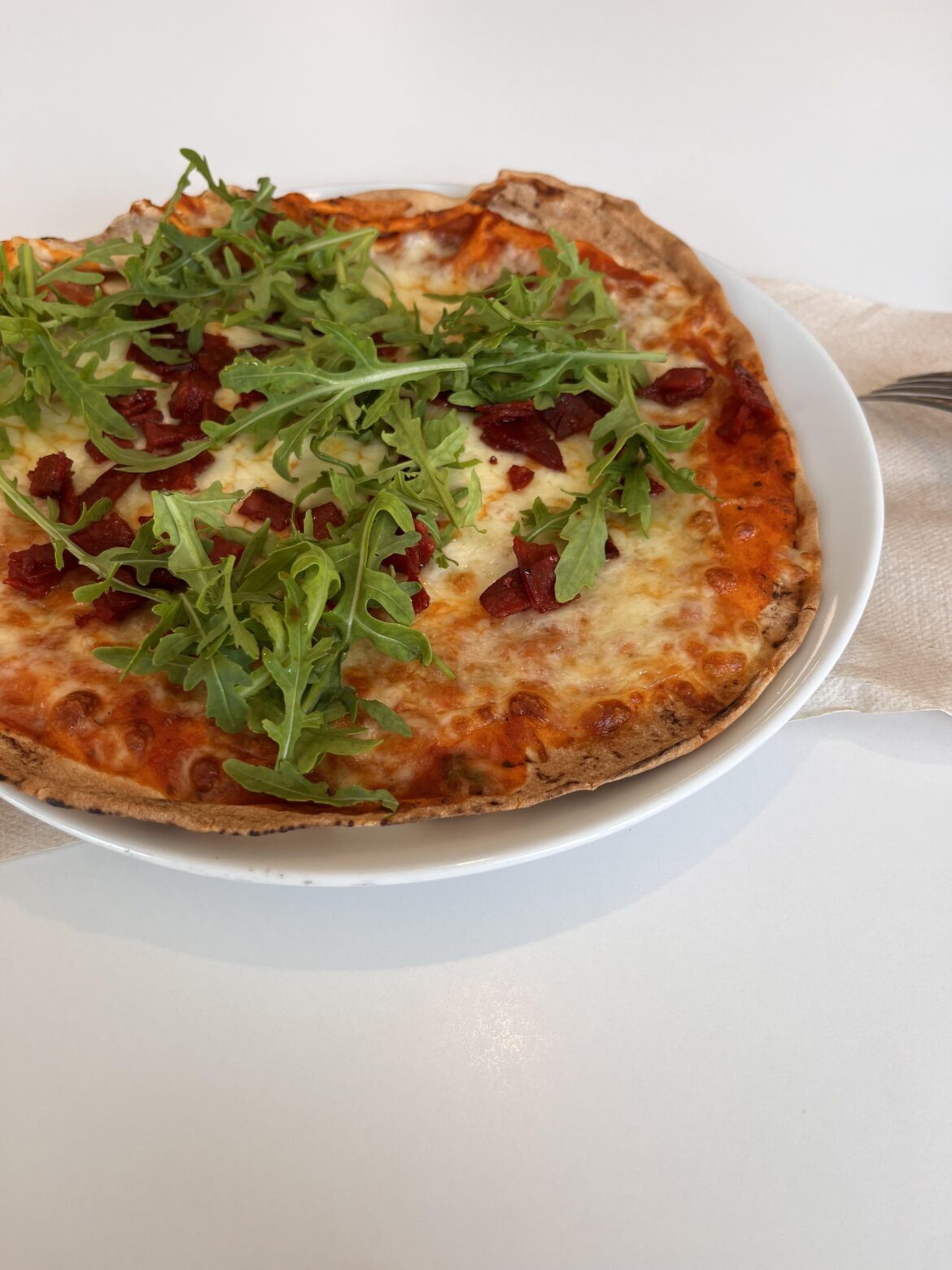 What they call pizza at my workplace’s canteen: a wrap with toppings. What’s the consensus here?