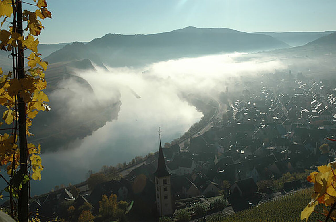 Spätburgunder: 12 fantastic German Pinot Noirs to track down