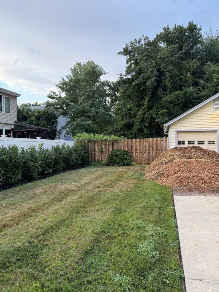 One year yard transformation