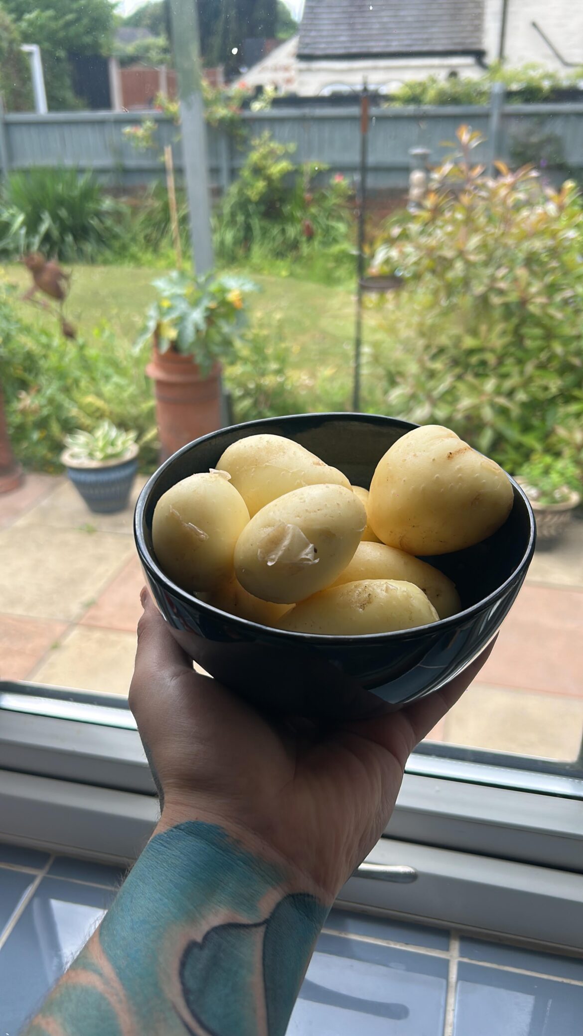 First time at growing potatoes