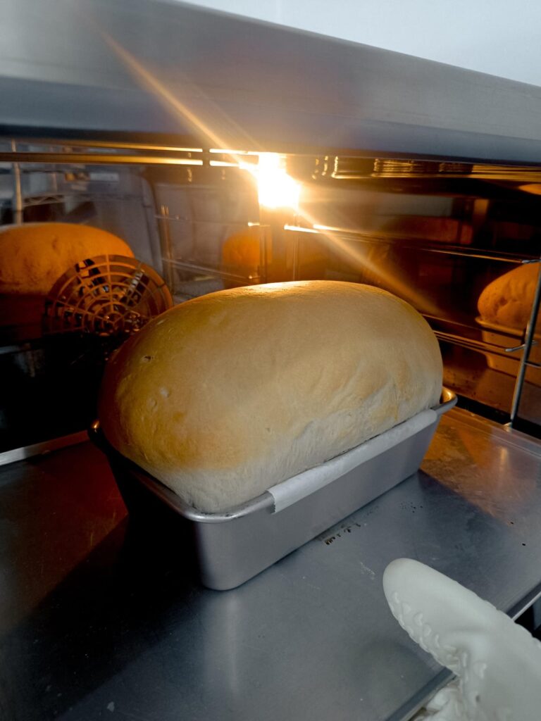 My first attempt at Sally's Sandwich Bread