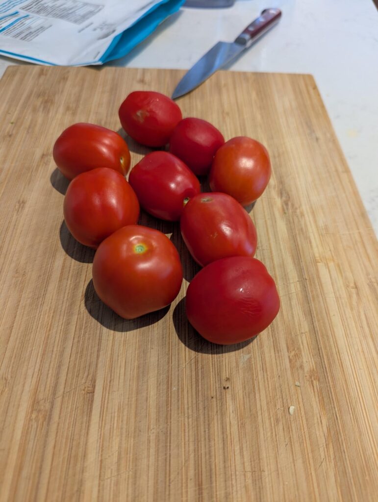 First ever tomato harvest
