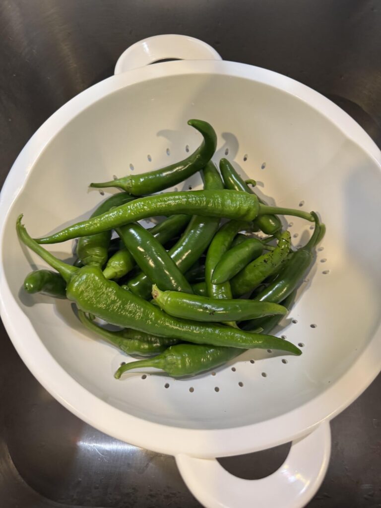 Hot peppers plants are going nuts, had to harvest.