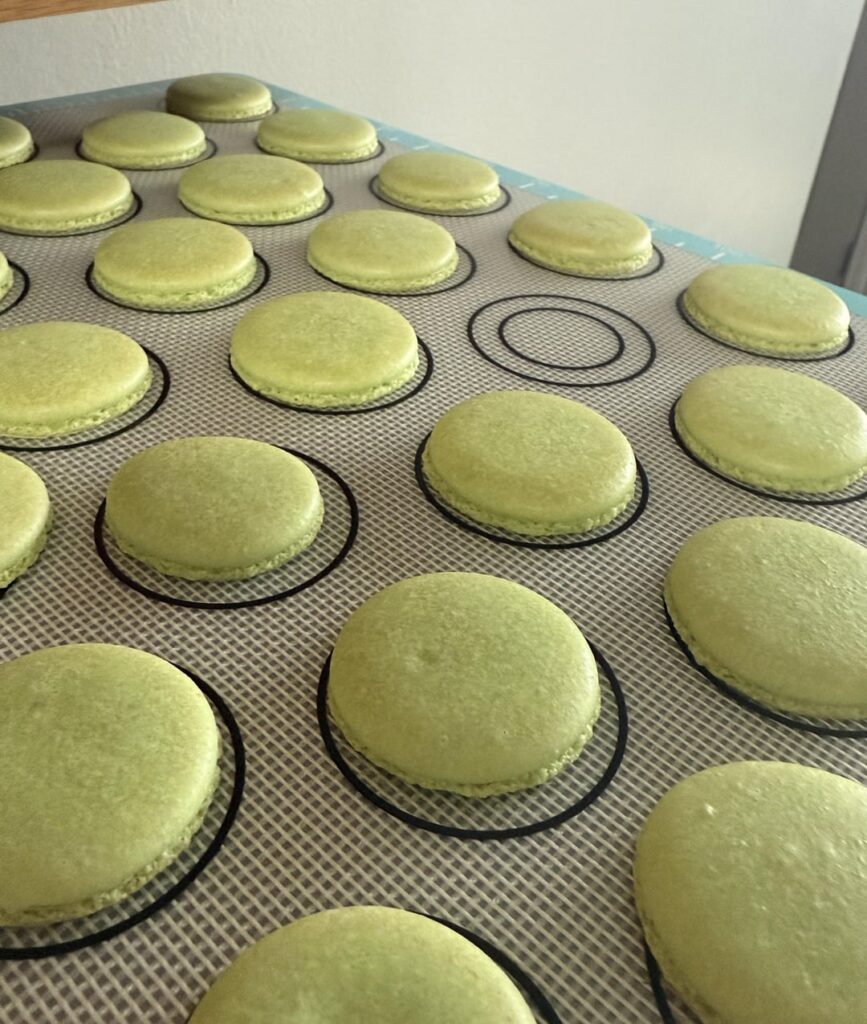 i feel like i’m going insane i feel like i’m going insane