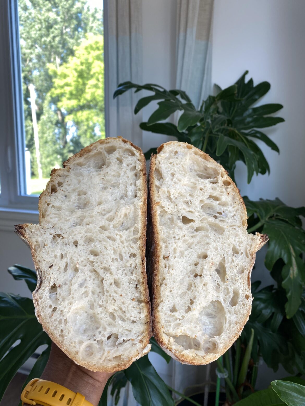 Will a client be happy with this crumb- Opening a microbakery