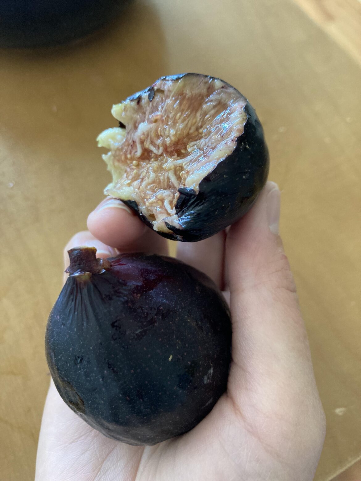 I have been blessed by the Fig Gods