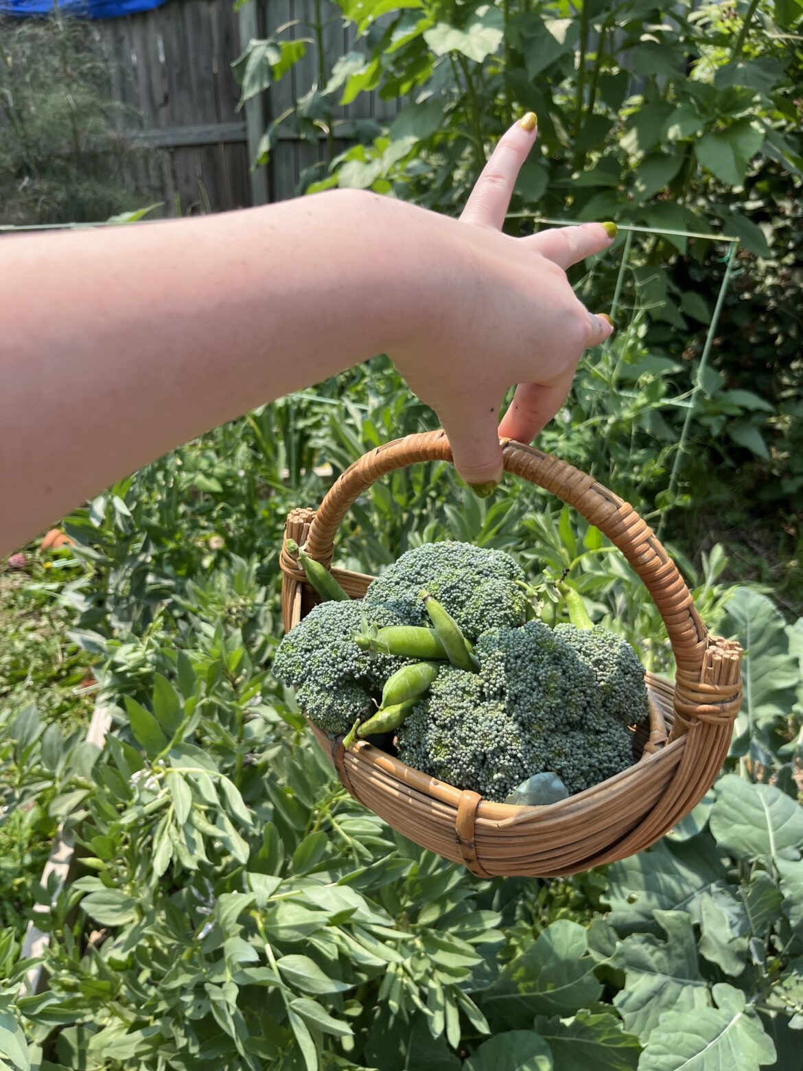 a small basket makes the bounty look big