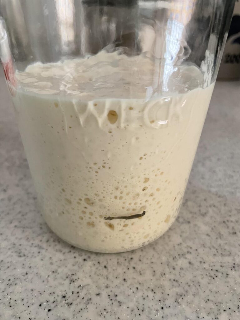Revived my 5yo dried sourdough starter. Here is the result.