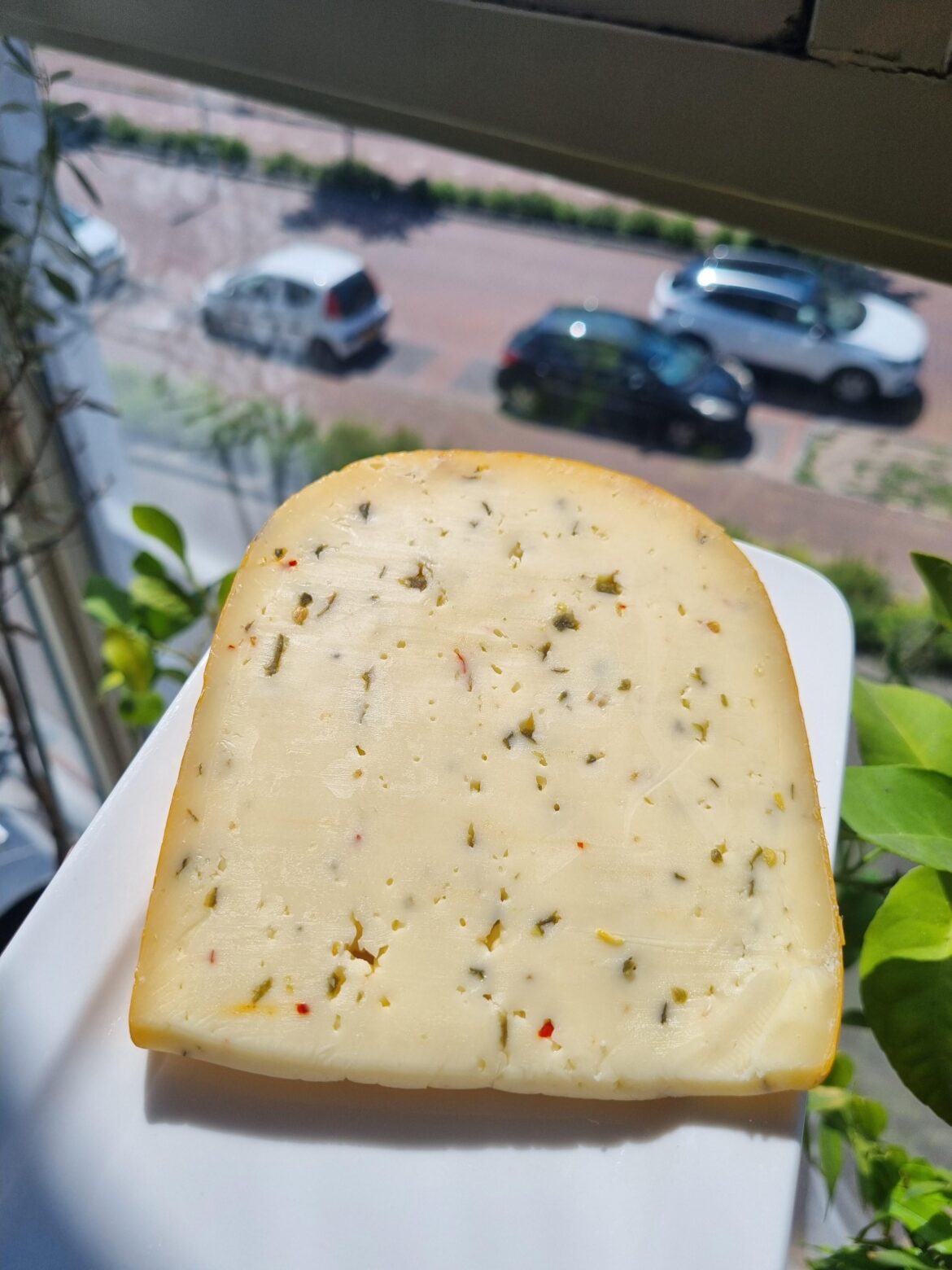 Jalapeno young gouda cheese