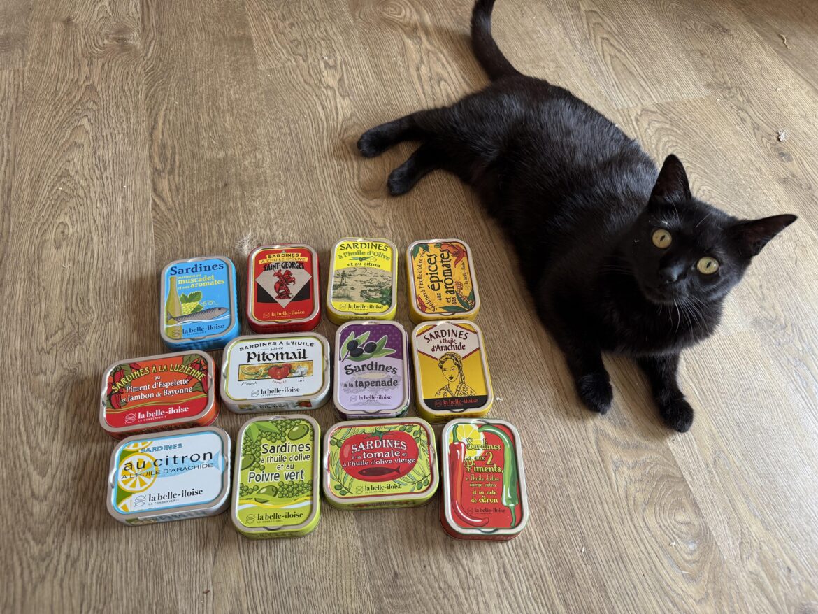 Not bad for 50 € (cat not included)