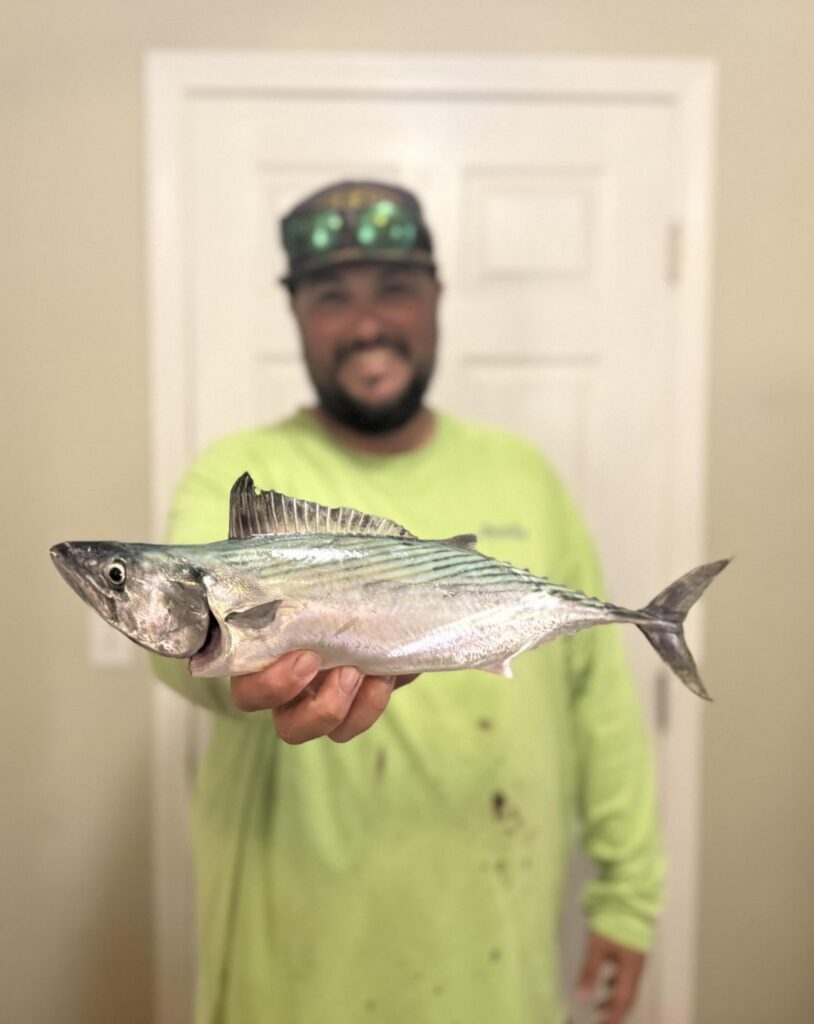 Caught & made some bonito tataki.