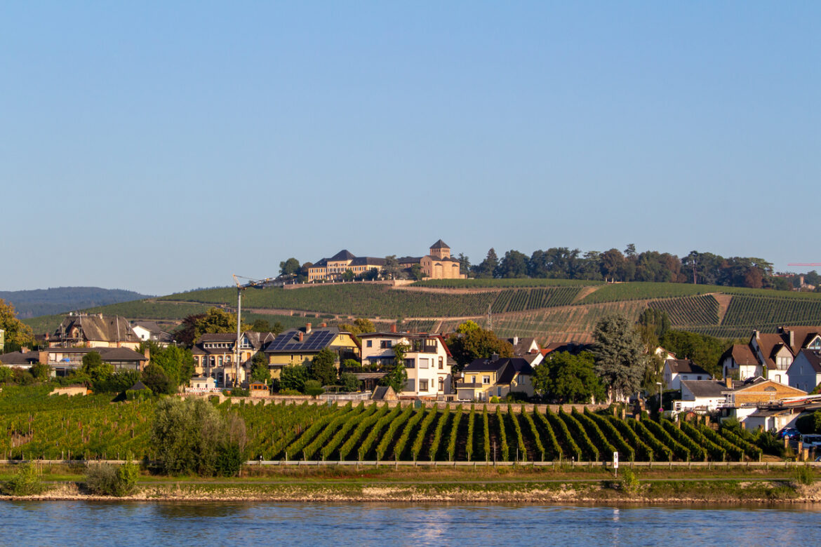 Johannisberg, Hesse, Germany - September 3, 2021: Town of Johannisberg, a town along the middle Rhine River, with view of the winery Schloss Johannisberg and Basilika high atop a hillside.The inaugural Henkell Vinothon – Wiesbaden/Rheingau Savour Marathon debuts on 6 September 2025, offering runners a scenic route through vineyards and estates with wine tastings en route. Featuring both marathon and half-marathon options, the event prioritises enjoyment over pace and early bird discounts are available until 9 June.