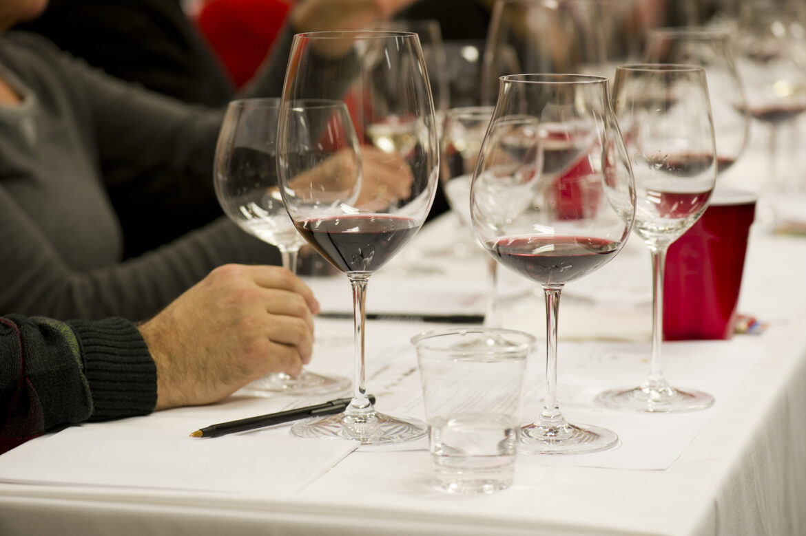 Italia del Vino launches wine business programme Italia del Vino launches wine business programme