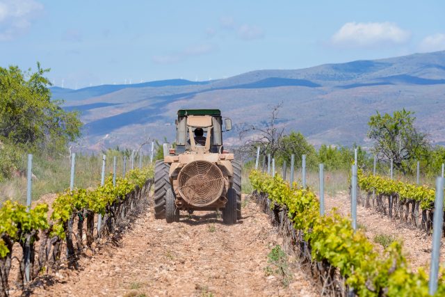 Photo ID: 2207079940