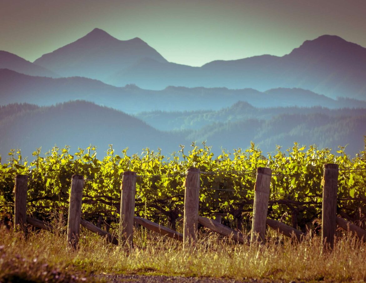 New Zealand named most sustainable producer country – Hallgarten Eco Standard