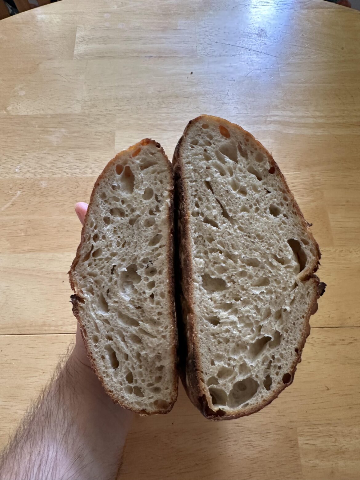 You guys said to let the dough ferment so I let the dough ferment!