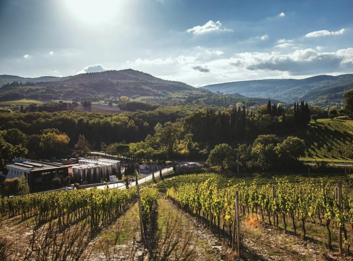 A look at Italian Wine Brands’ Tuscan range A look at Italian Wine Brands' Tuscan range