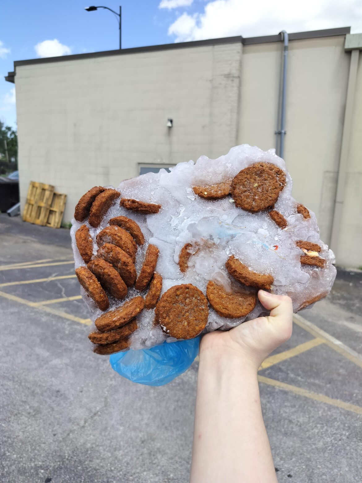 Y'all ever seen a 20 pound iceberg of veggie sausage patties