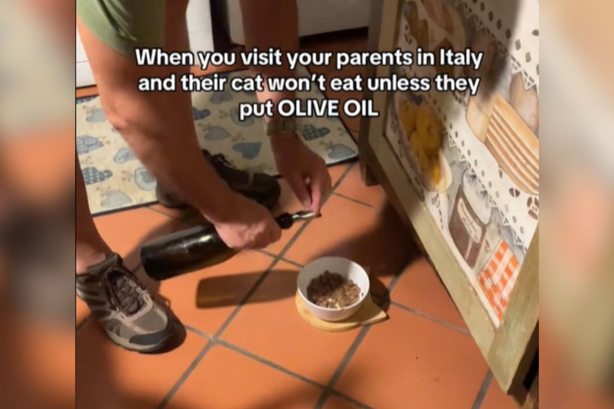 Ingredient added to cat food