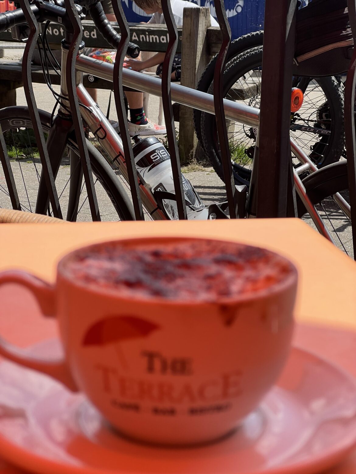 Life behind bars… handle bars and coffee bars. The Terrace, Brockenhurst