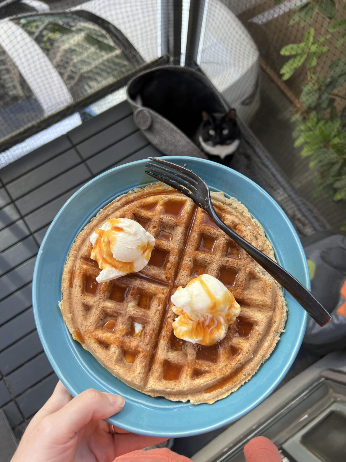 Breakfast dessert - <400kcal