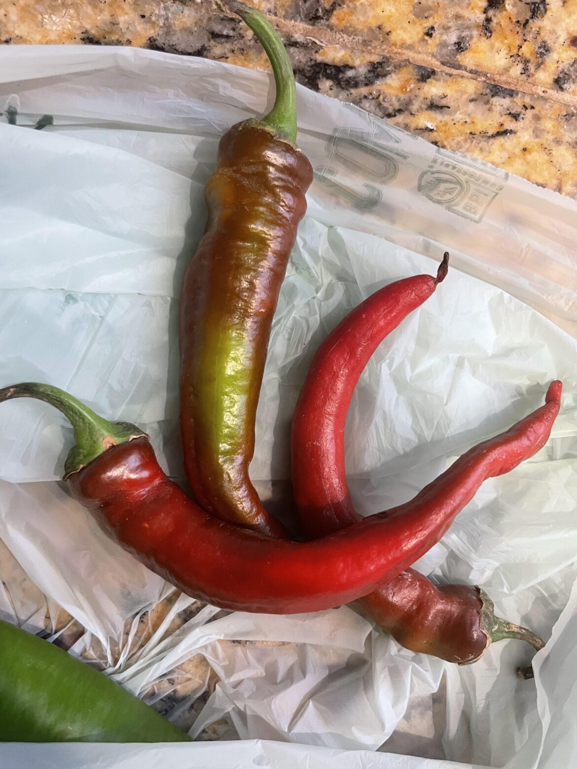 Help identifying these peppers?