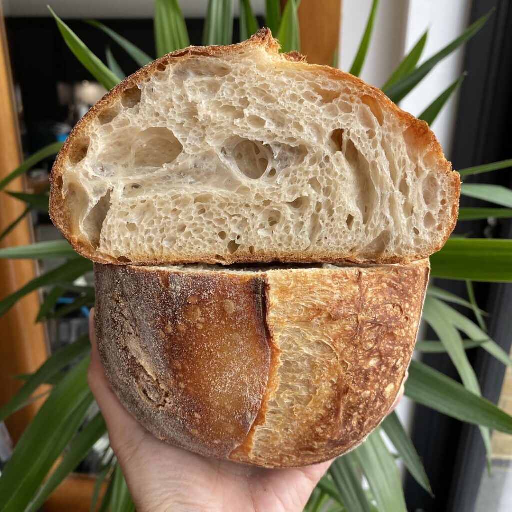 Getting high: 85.5% hydration