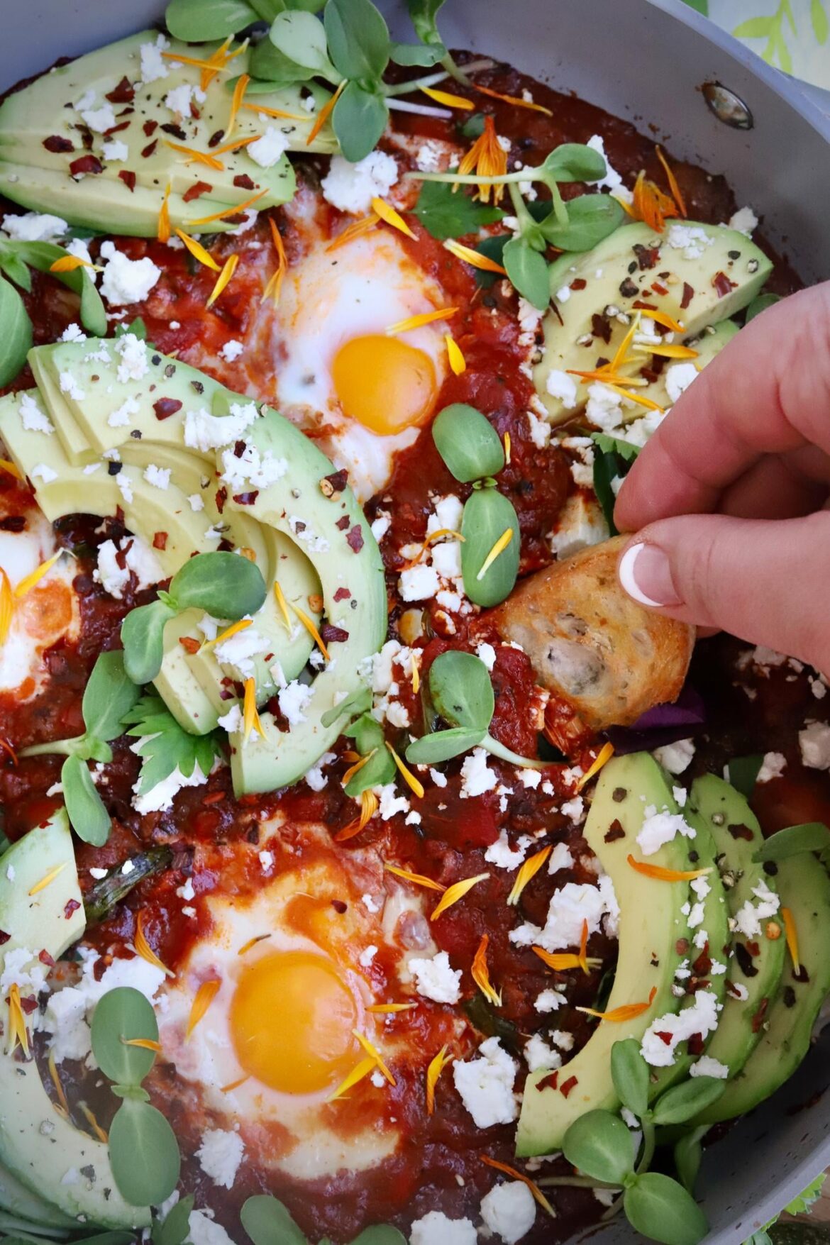 Shakshuka - perfect for Sunday breakfast or brunch!