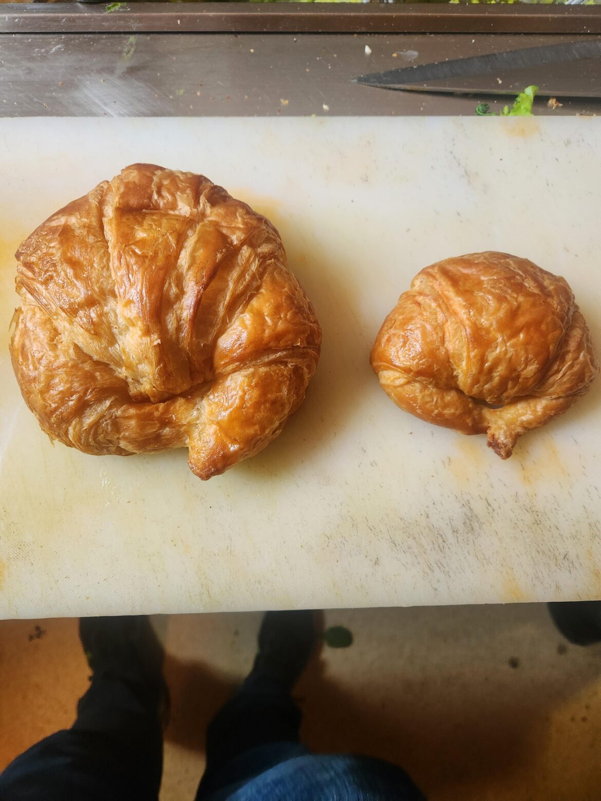 Our normal croissants (left) compared to what the bakery sent us today (right)