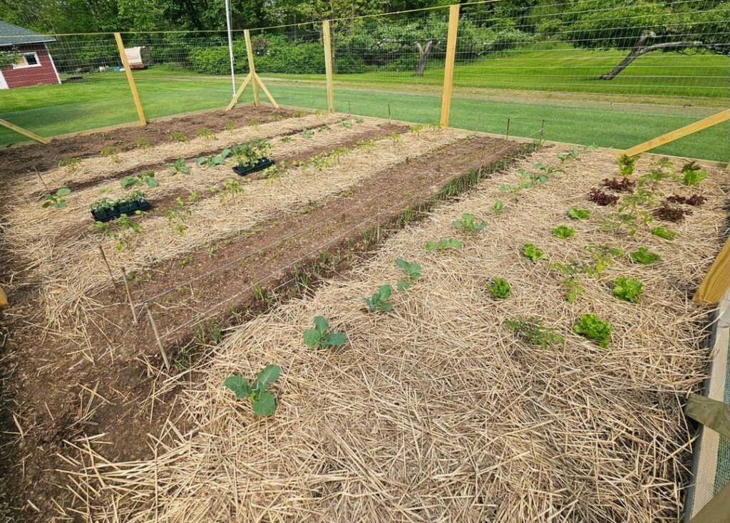 The difference 3 weeks makes: