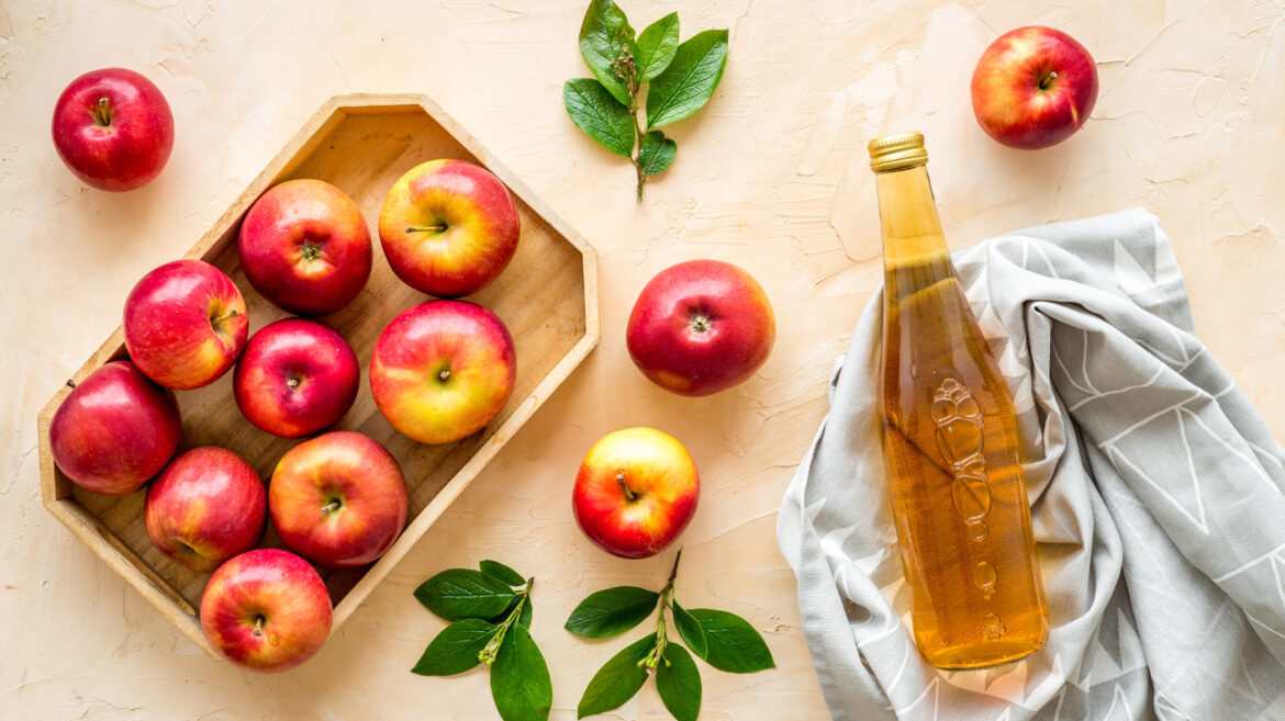 What Is A Vinegar Mother? What Is A Vinegar Mother?