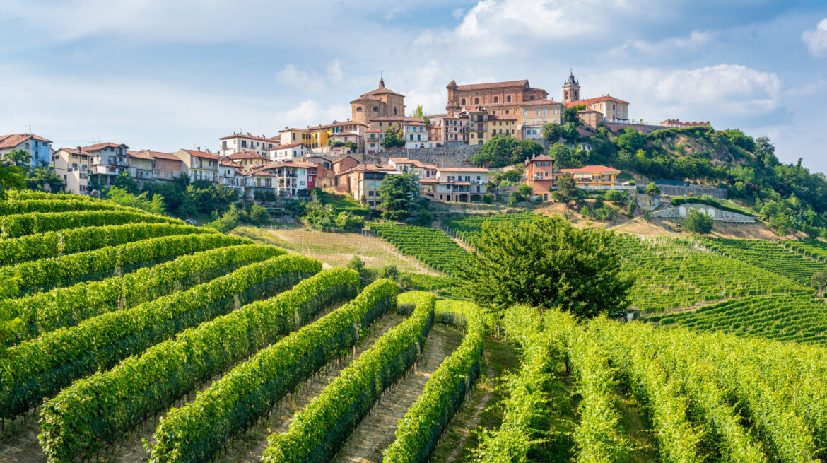 What Country Produces The Most Wine? What Country Produces The Most Wine?