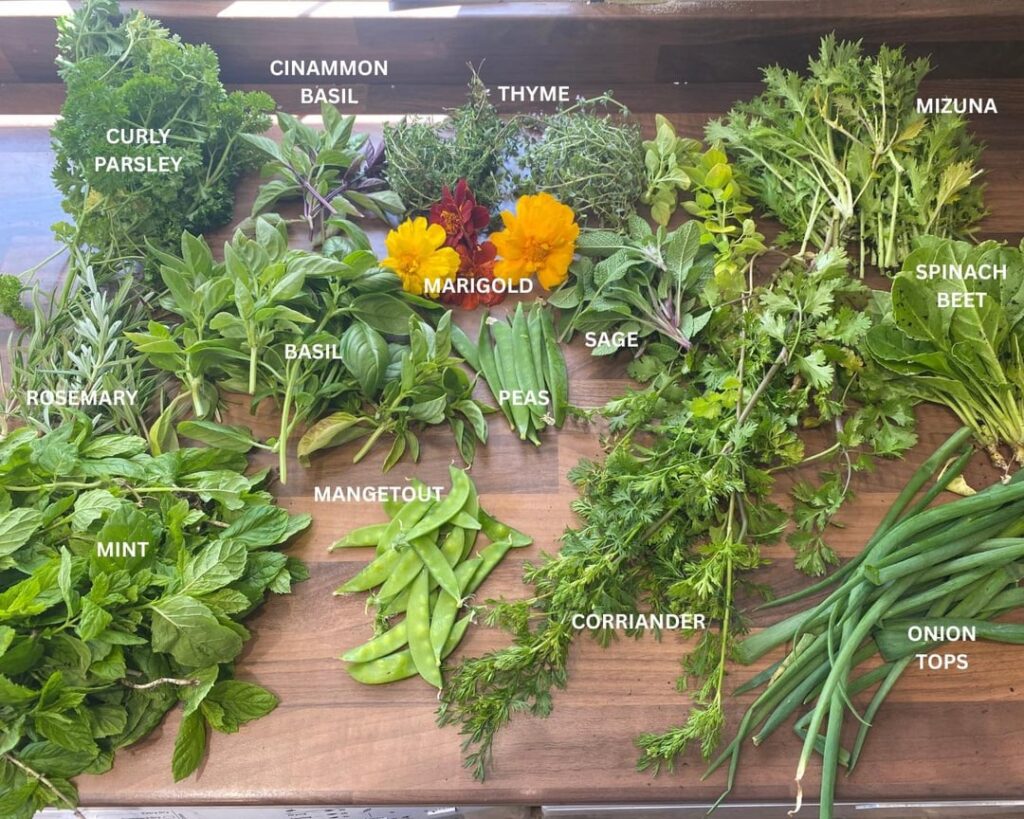 Is there a better feeling?? (First year grower) Is there a better feeling?? (First year grower)