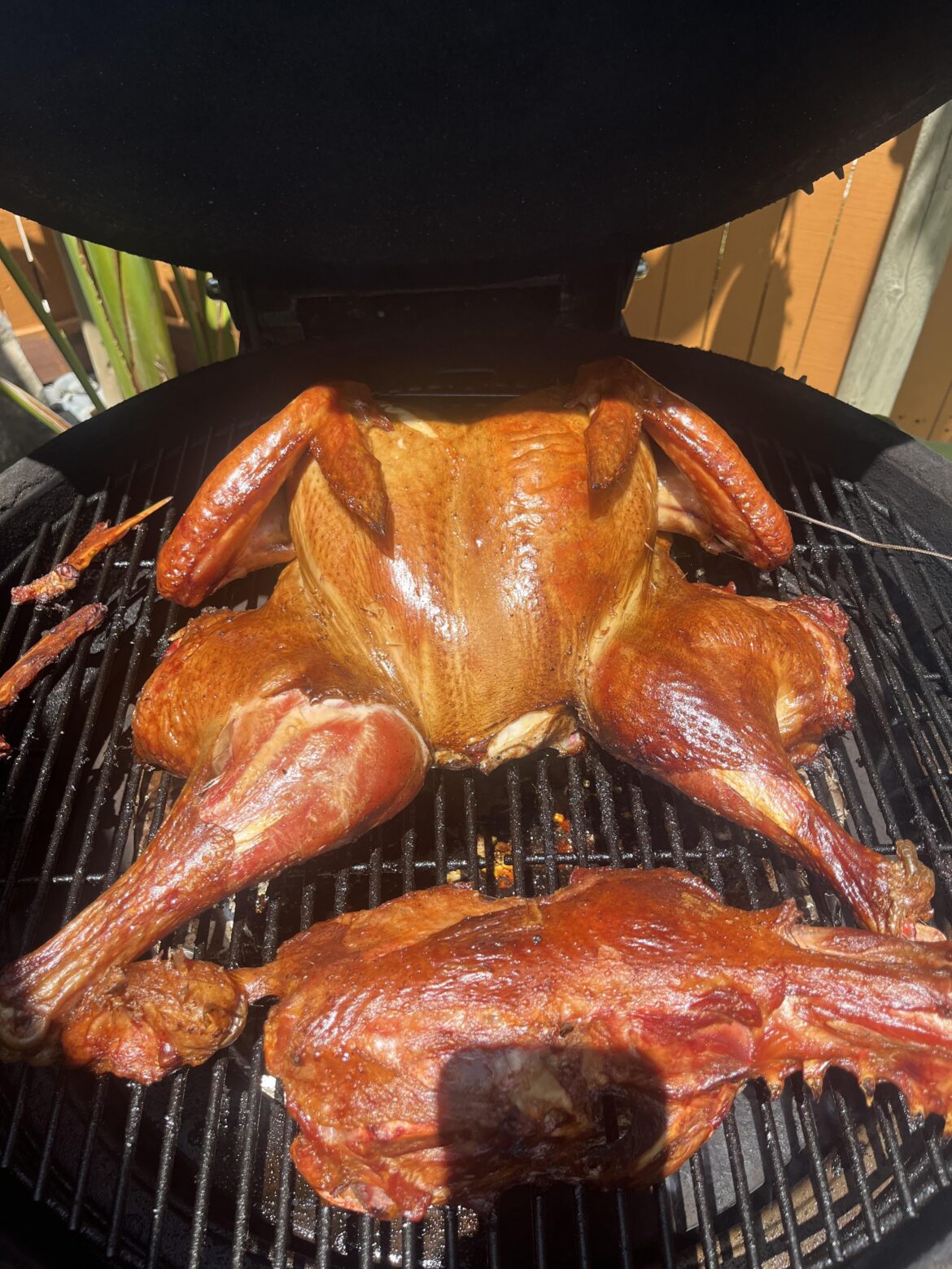 Smoked Turkey on the Big Joe - Needed to make room in the freezer.