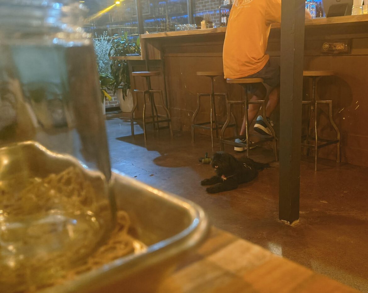 Vic and Al's Dog Friendly Indoors