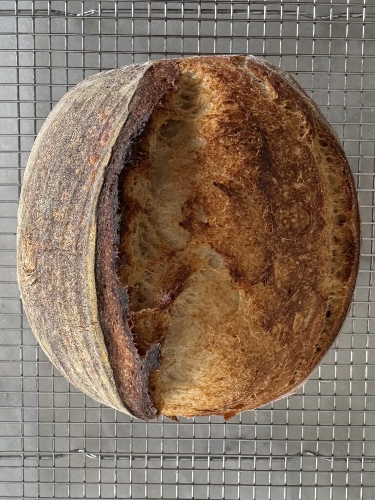 Last week my loaf looked like a pancake. This week it looks like this.