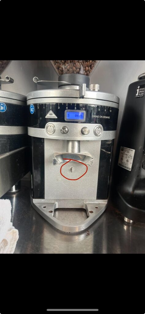 To anyone who has this Mahlkonig grinder…this is the right piece that would go here, right?