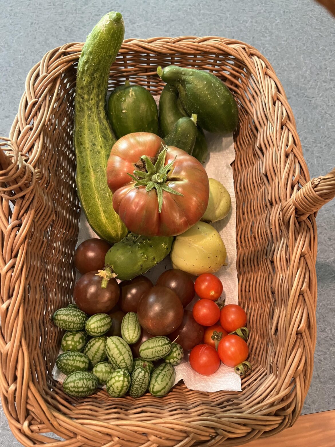 This all came from neglected grow bags