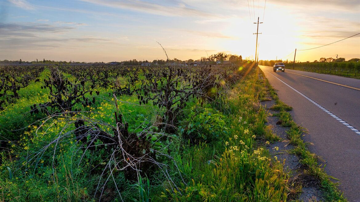 Wine's Tough Times Are An Opportunity