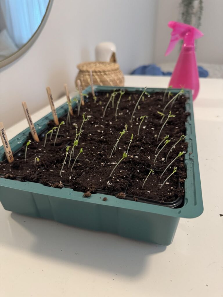 How it started vs how it’s going