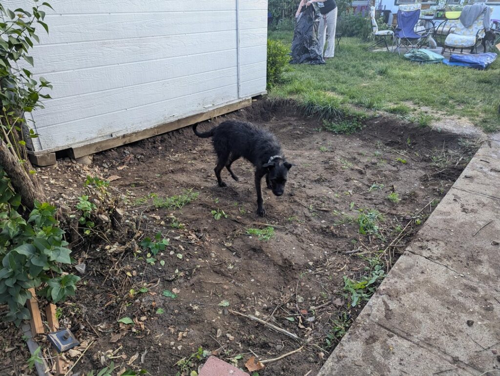 Just finished my BBQ patio and did my first BBQ yesterday Just finished my BBQ patio and did my first BBQ yesterday