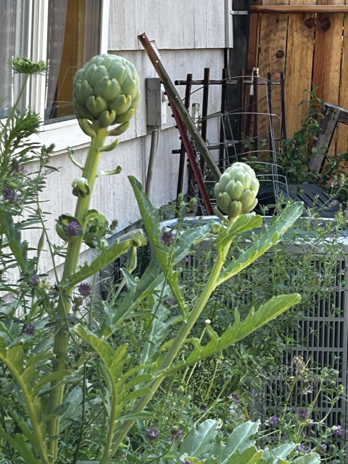 I can’t believe something lived! I can’t believe something lived!