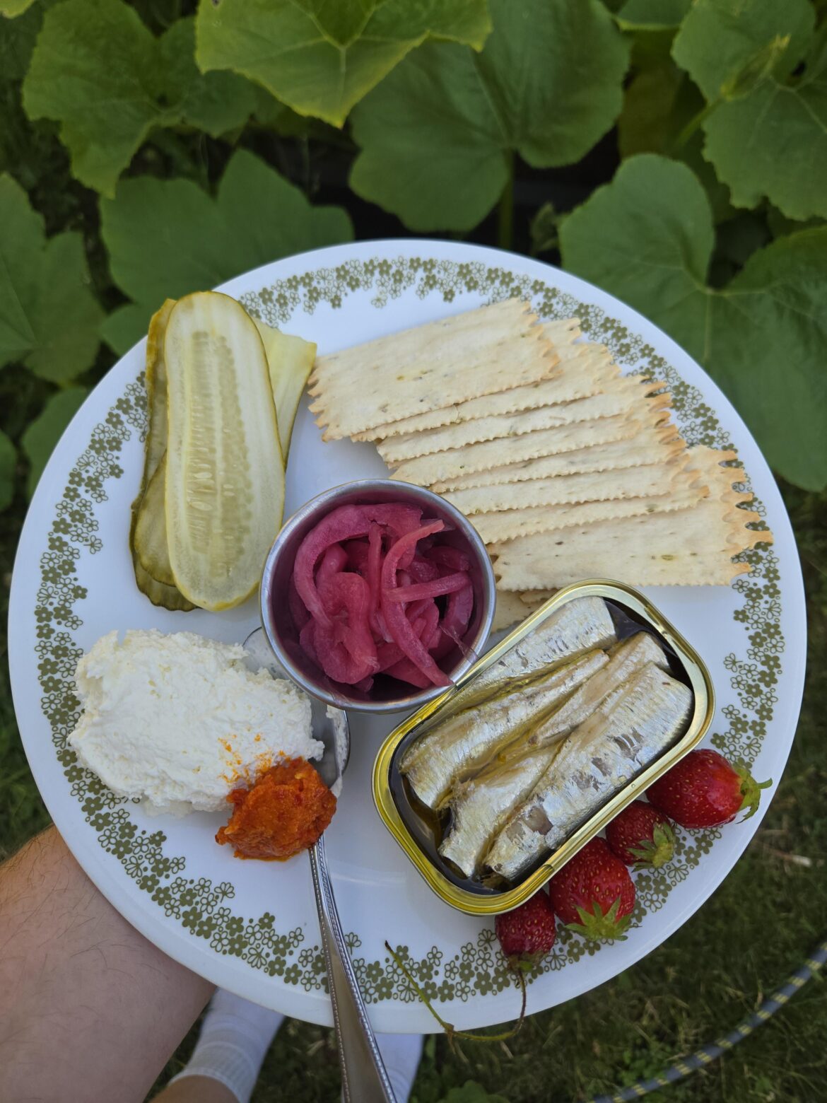 2nd tin ever - how are they so good?? where have I been?