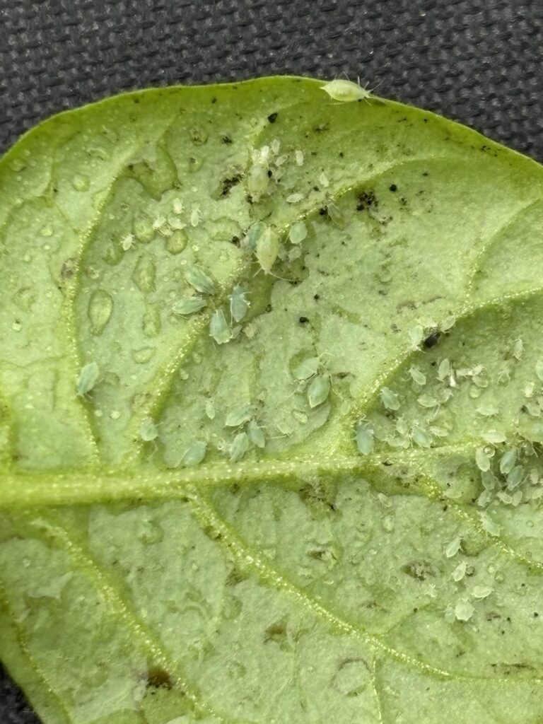 Well look who showed up today š” Well look who showed up today š”