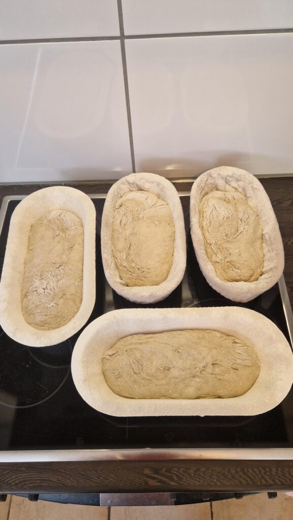 Wheat and Rye Sourdough Bread
