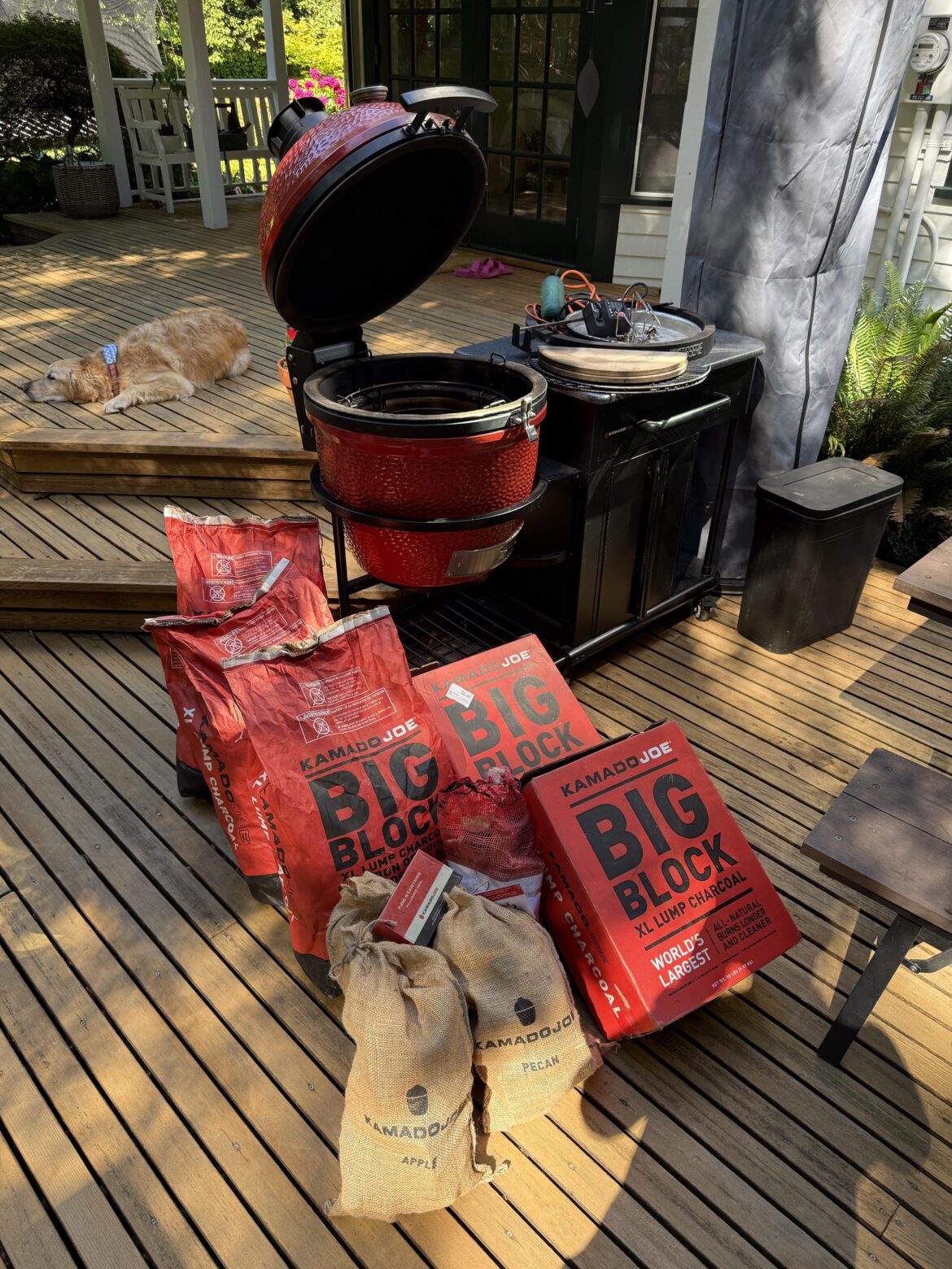 Excitement to start Excitement to start