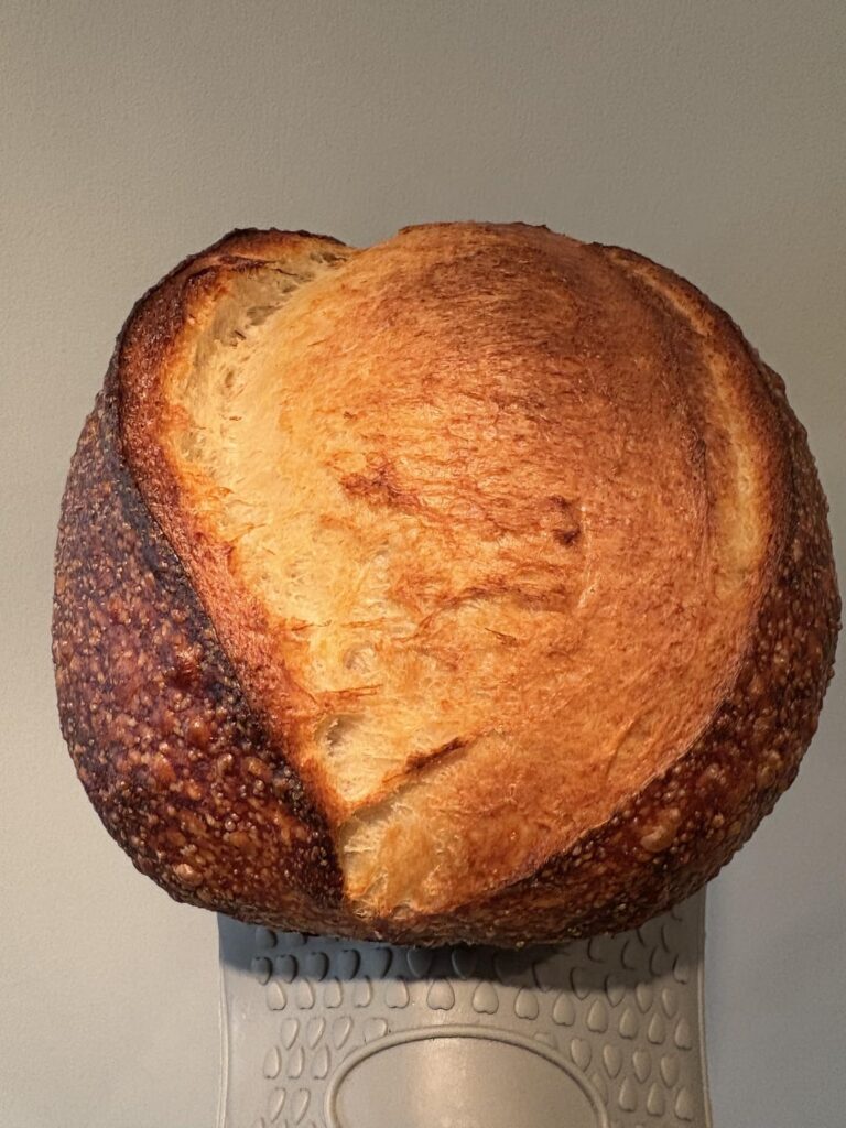 Just made one of my best loaves since starting 5 years ago