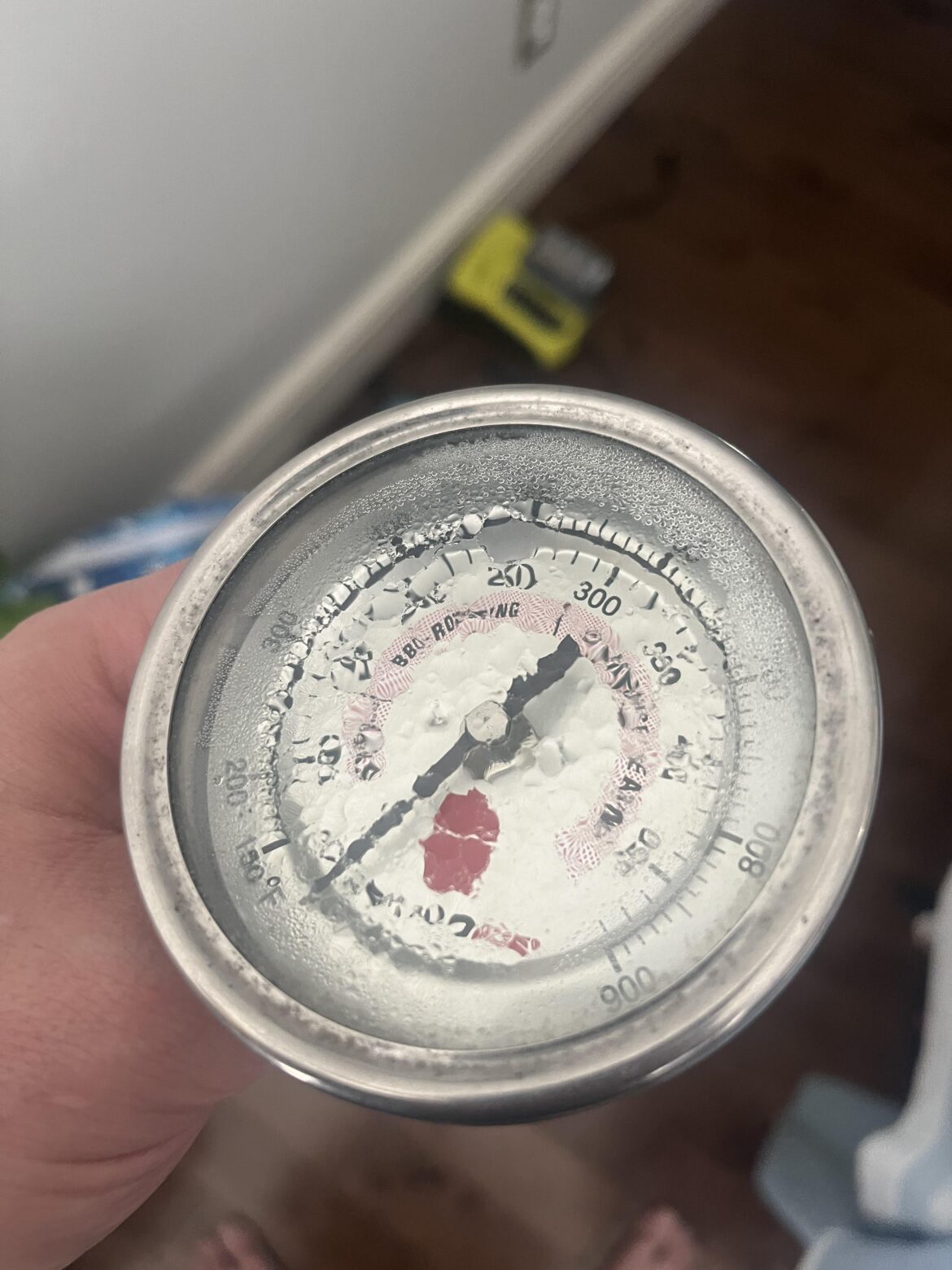 Moisture inside my thermometer.